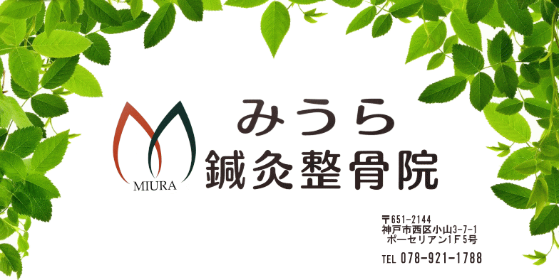 �݂����I�������@�@�_�ˎs����@��E���E���E�G�Ȃǂ̂��Y�݁E�͂肫�イ�E�P���E�Ŗo�E������E�������荘�E�Q�Ⴂ�E��ʎ��́i�ނ������j�E���Ջ����E�����j�E�X�|�[�c�O��